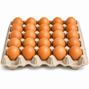 Ovos Castanhos (M)