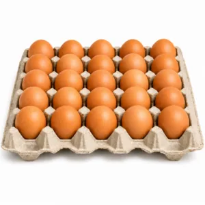 Ovos Castanhos (M)