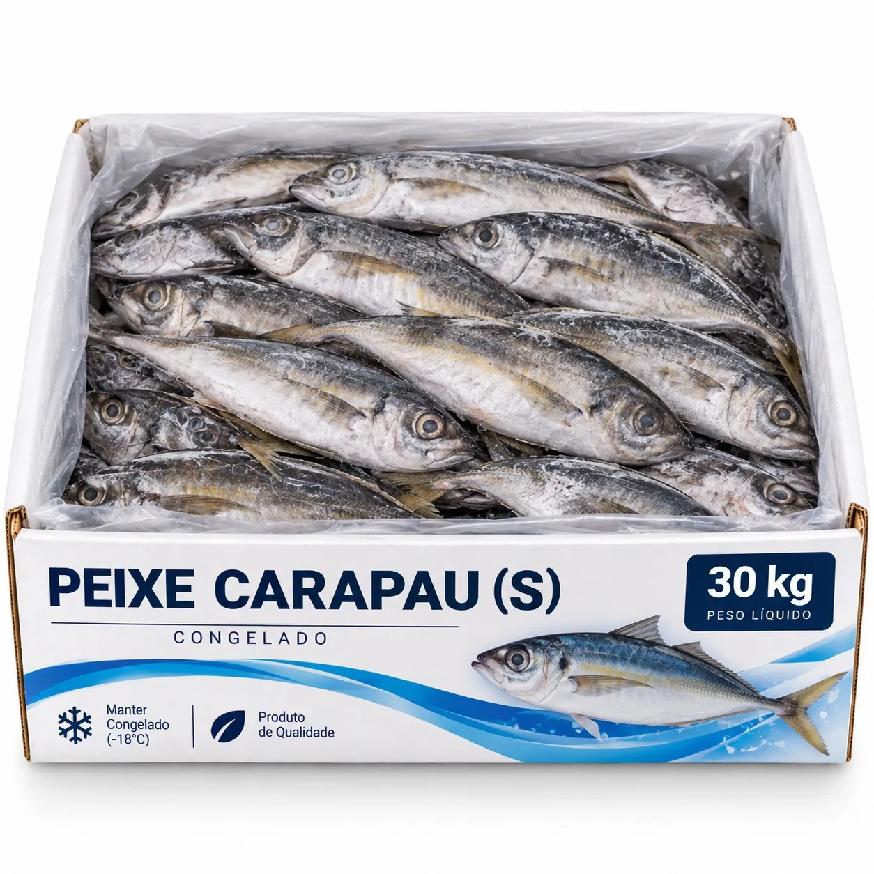 peixe carapau