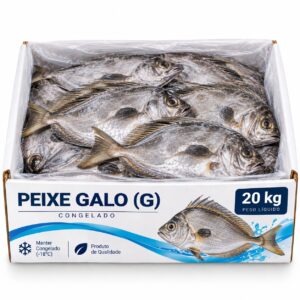 peixe galo