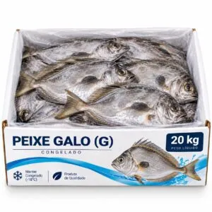 peixe galo
