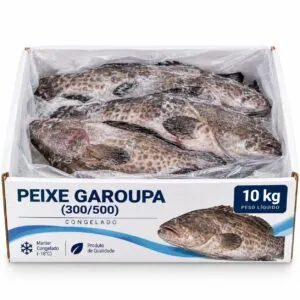 Peixe garoupa